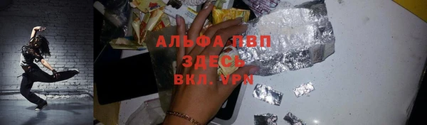 сатива Армянск
