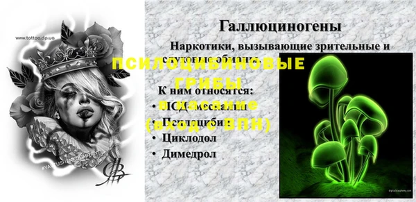 сатива Армянск
