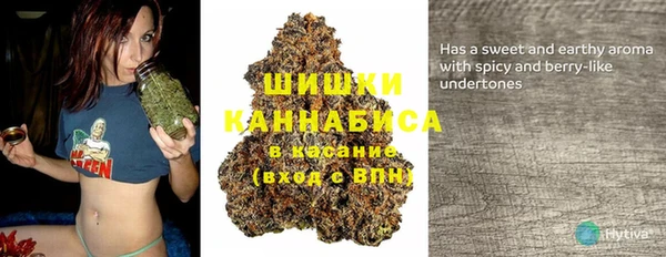 PSILOCYBIN Сатка